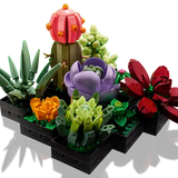 LEGO® Botanicals Les succulentes 10309
