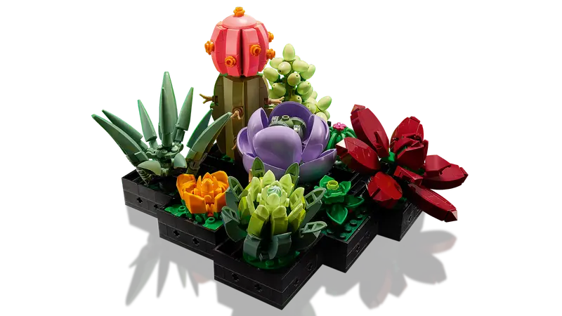 LEGO® Botanicals Les succulentes 10309