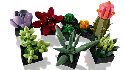 LEGO® Botanicals Les succulentes 10309