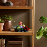 LEGO® Botanicals Les succulentes 10309