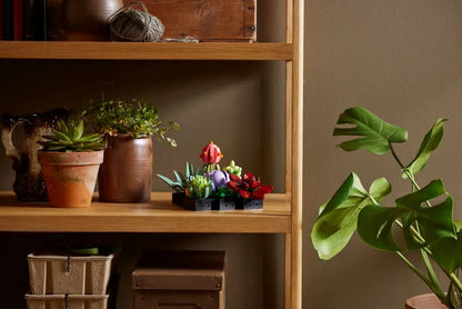 LEGO® Botanicals Les succulentes 10309