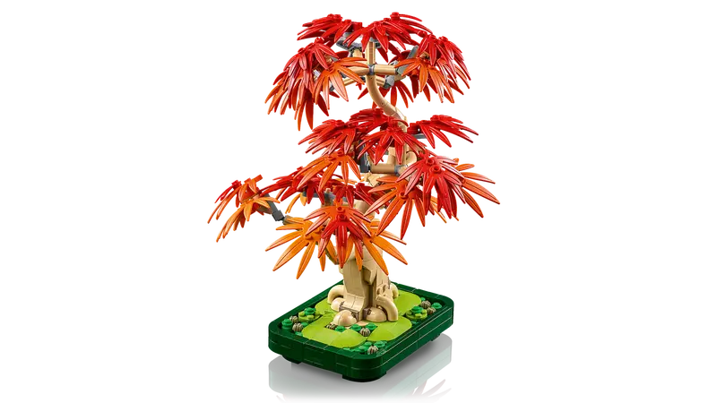 LEGO® Botanicals Bonsaï d’érable rouge du Japon 10348