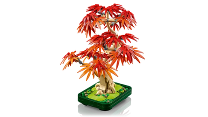 LEGO® Botanicals Bonsaï d’érable rouge du Japon 10348