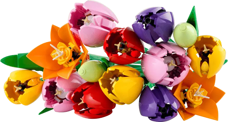 LEGO® Botanicals Le bouquet de tulipes 11501