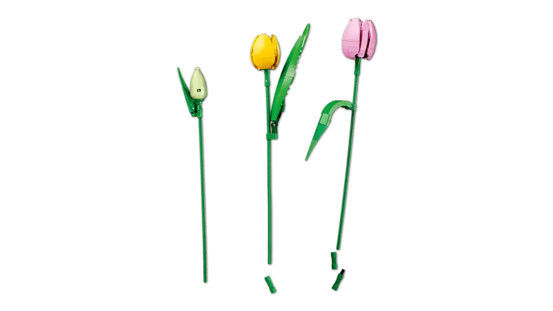 LEGO® Botanicals Le bouquet de tulipes 11501