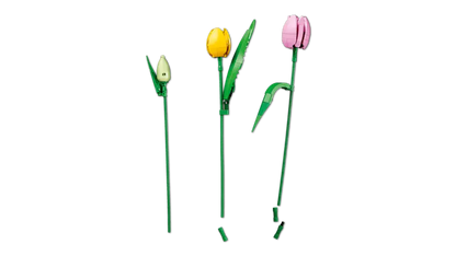 LEGO® Botanicals Le bouquet de tulipes 11501