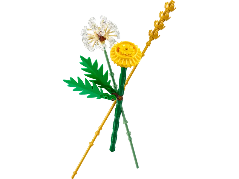 LEGO® Botanicals Fleurs des champs 30701