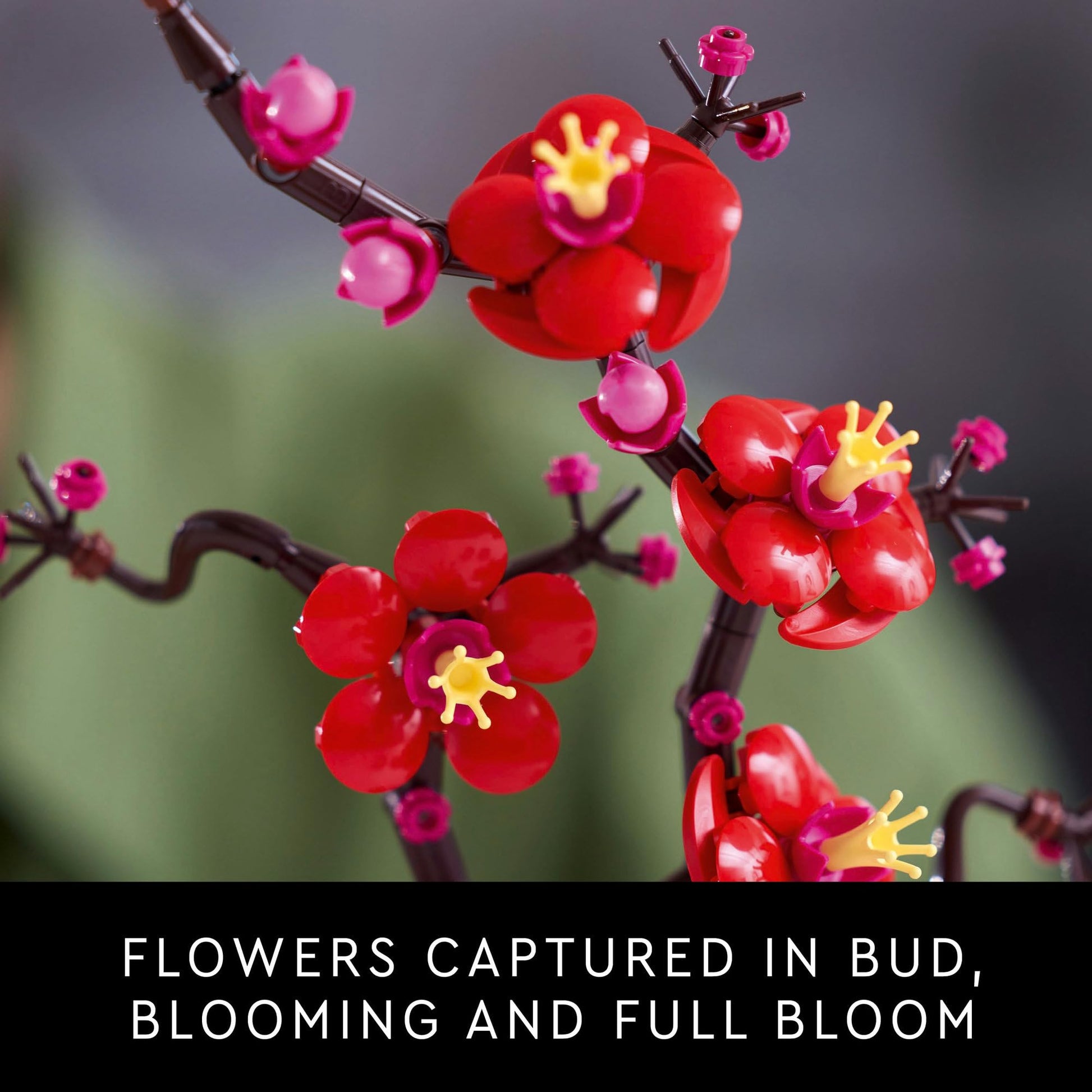 LEGO® Botanicals La fleur de prunier 10369