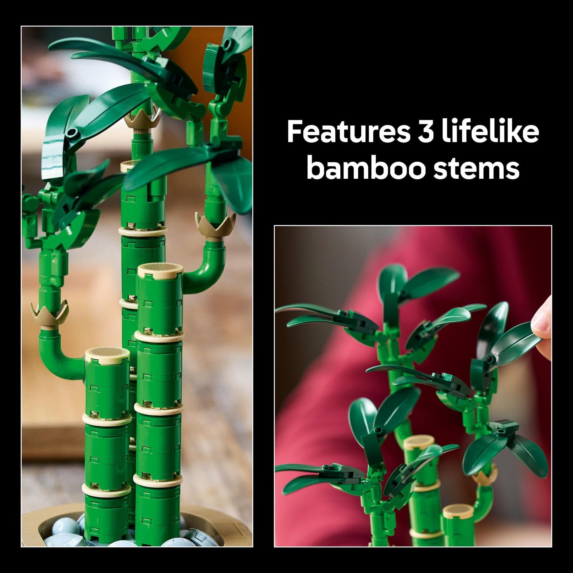 LEGO® Botanicals Le bambou porte-bonheur 10344
