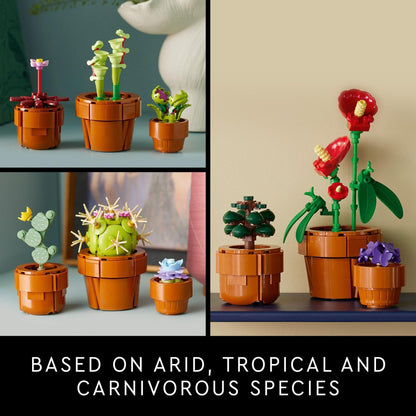LEGO® Botanicals Les petites plantes 10329