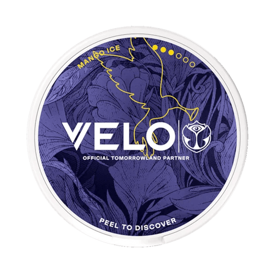 VELO Tomorrowland Édition Limitée 2026